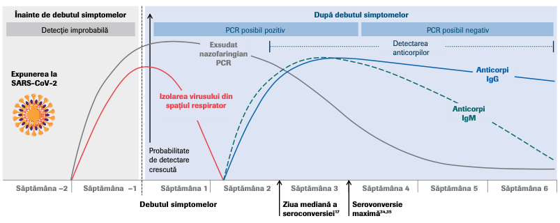 Elecsys Anti-SARS-CoV-2-3