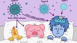 Influenza-tip-A-B-C-star-medica