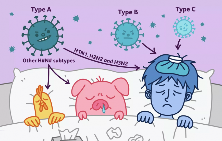 Influenza-tip-A-B-C-star-medica